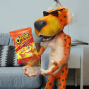 40-Pack Cheetos Crunchy Flamin' Hot Cheese Flavored Snacks as low as $13.24...