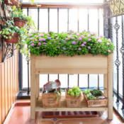 Conveniently Grow Herbs, Veggies and Flowers with Easyfashion Beige Wood...