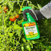 Natria Neem Oil Spray for Plants, 24-Ounce $9.34 (Reg. $12) | Organic Disease...