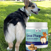 120-Count Great Poop Dog Probiotics Supplements as low as $21.24 Shipped...