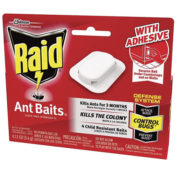 FOUR 4-Pack Raid Ant Killer Baits as low as $2.35 EACH After Coupon (Reg....