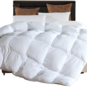 Duvet Insert Comforters from $23.79 (Reg. $69.99+) - FAB Ratings! 4,800+...