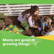 Score a FREE annual plant for Mother's Day! | Register Now! No Purchase...