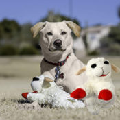 Lambchop Plush Dog Toy, 10-inch as low as $4.75 Shipped Free (Reg. $14.75)...