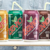 24 Cans Zevia Zero Calorie Soda, 12-Flavor Variety as low as $11.54 Shipped...