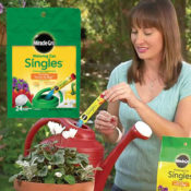 24 Pre-Measured Packets Miracle-Gro Watering Can Singles Plant Food as...