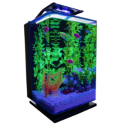 GloFish Desktop Aquarium Kit $69.94 Shipped Free (Reg. $90) - LOWEST PRICE!