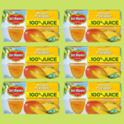 24-Pack Del Monte Mango and Pineapple Fruit Cup Snacks as low as $14.13...