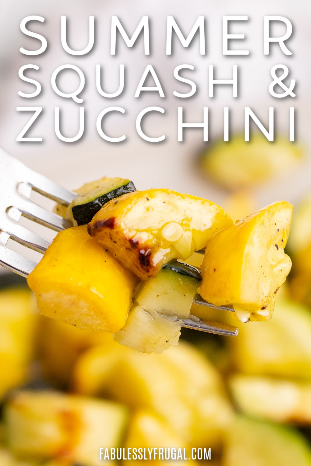 summer squash and zucchini