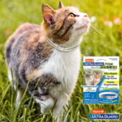 Hartz UltraGuard Pro Flea & Tick Collar for Cats and Kittens as low...