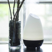 HealthSmart Humidifier and Aromatherapy Diffuser (White, Large) $9.99 (Reg....