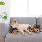 Outward Hound Hedgehogz Squeaky Soft Toy for Dogs $5.10 (Reg. $20) - 17K+...