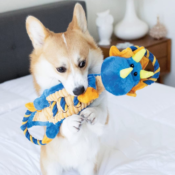 Ropes-A-Go-Go Dragon Interactive Plush Squeaky Dog Toy $7.30 (Reg. $18)...
