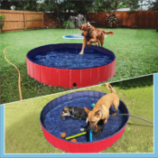 Create a Wonderful Enjoyment for Your Pets this Summer with SmileMart Foldable...