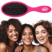 Wet Brush Original Detangler Hair Brush $6.54 (Reg. $11.99) - FAB Ratings!...