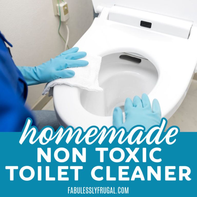 homemade toilet bowl cleaner