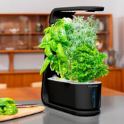 AeroGarden Sprout $69.95 Shipped Free (Reg. $99.95) - Sprouts in days,...