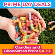 Amazon Prime Day: Candies and Chocolates from $4.70 - Trolli, Bobs, Brach's...