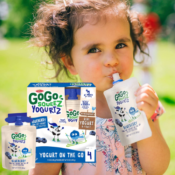 FOUR Boxes of 4 GoGo SqueeZ YogurtZ Blueberry Kids' Snacks as low as $2.57...