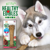 Nylabone Healthy Edibles X-Large/Souper Puppy Natural Long Lasting Dog...