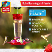 Ruby Hummingbird Feeder $6.99 (Reg. $18.99) - Holds 10 fluid oz with 4...