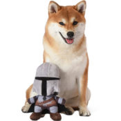 STAR WARS Pets - The Mandalorian 9-inch Plush Toy for Dogs, Grey $3.91...