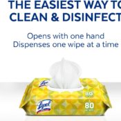 480-Ct Lysol Disinfecting Wipes Flatpack, Lemon & Lime Blossom as low...