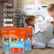 111-Count Tide PODS Laundry Detergent Soap Pods, Clean Breeze as low as...
