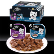 12-Pack CESAR Adult Soft Wet Dog Food Filets in Gravy Variety Pack as low...