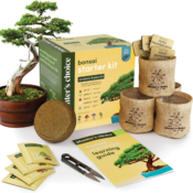15-Piece Planters' Choice Bonsai Gardening Starter Kit $19.99 (Reg. $33)