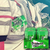 160-Count Trident Vibes Spearmint Rush Sugar Free Gum as low as $11.56...