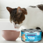 24-Pack Kitzy Wet Canned Food High Protein, Wild Caught Tuna and Shrimp...
