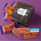 36-Count REESE'S Milk Chocolate Peanut Butter Pumpkins Candy $36 (Reg $56)...