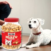 Milk-Bone MaroSnacks Dog Treats (Beef) as low as $10.33 (Reg. $20) + Free...