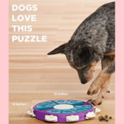 Outward Hound Nina Ottosson Interactive Puzzle Dog Toy (Level 3) $5.10...