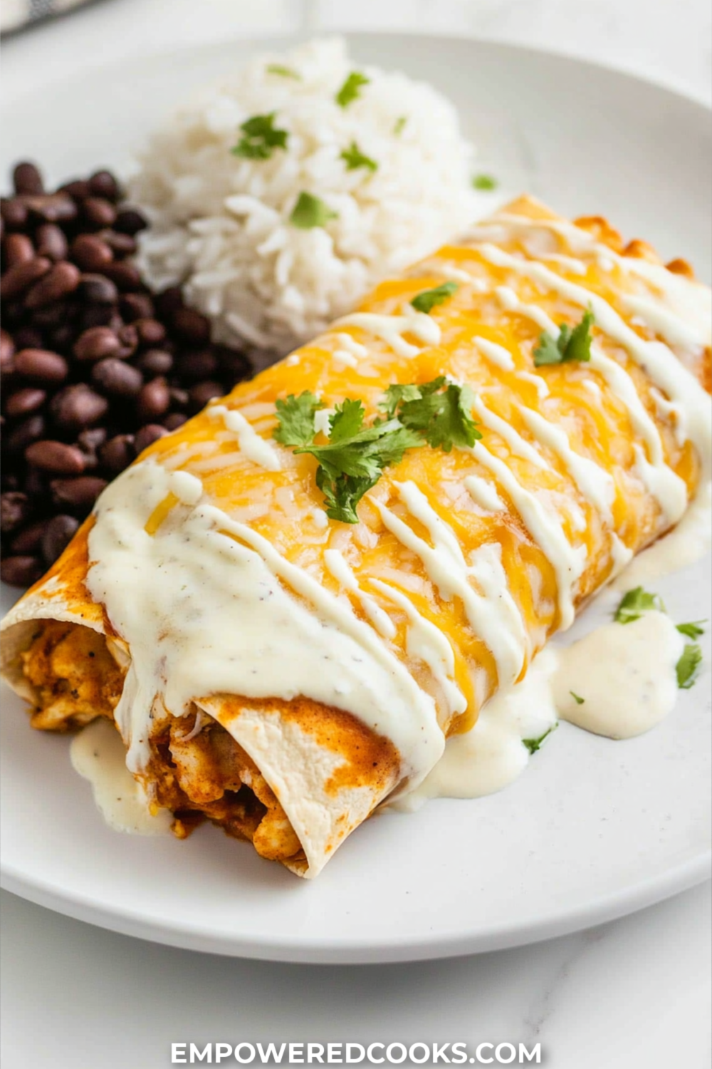 chicken enchiladas with a side of beans and rice