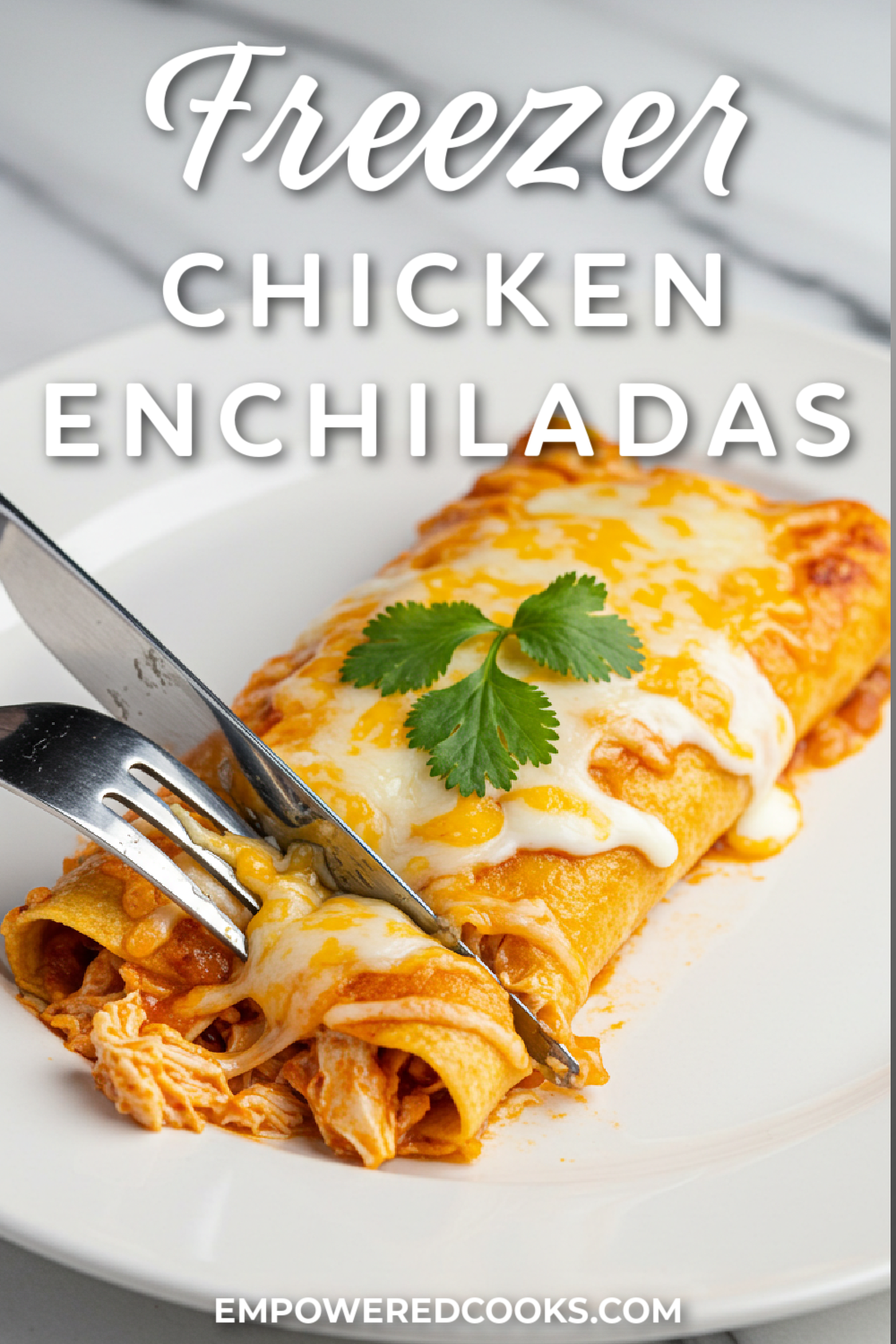 cutting into cheesy chicken enchiladas
