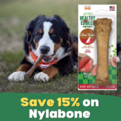 Save 15% on Nylabone from $5.74 After Coupon (Reg. $7.13+) - Dog Treats,...
