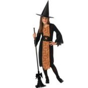 Girls Way To Celebrate Witch Halloween Costume $5 (Reg. $9.97)