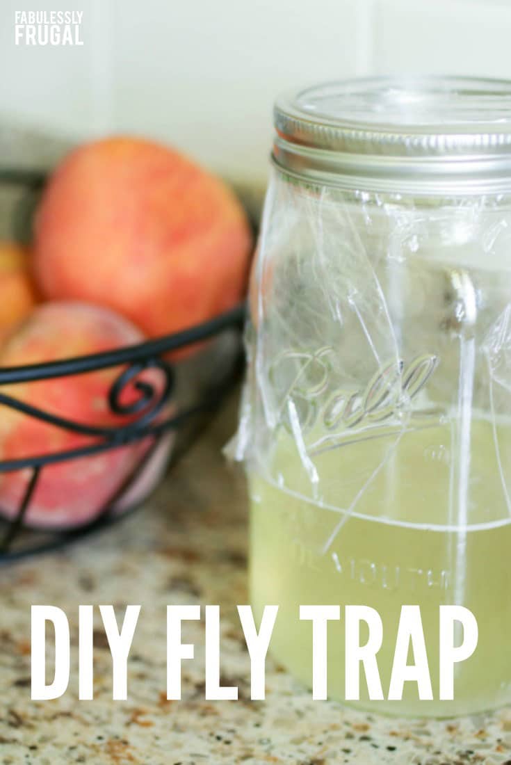 3 Genius, Foolproof Fly Traps to Make at Home  House fly traps, Homemade fly  traps, Fruit fly trap diy