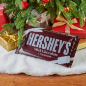 1-Lb HERSHEY'S Milk Chocolate Candy Gift Bar $11.99 (Reg. $15) - Gluten...