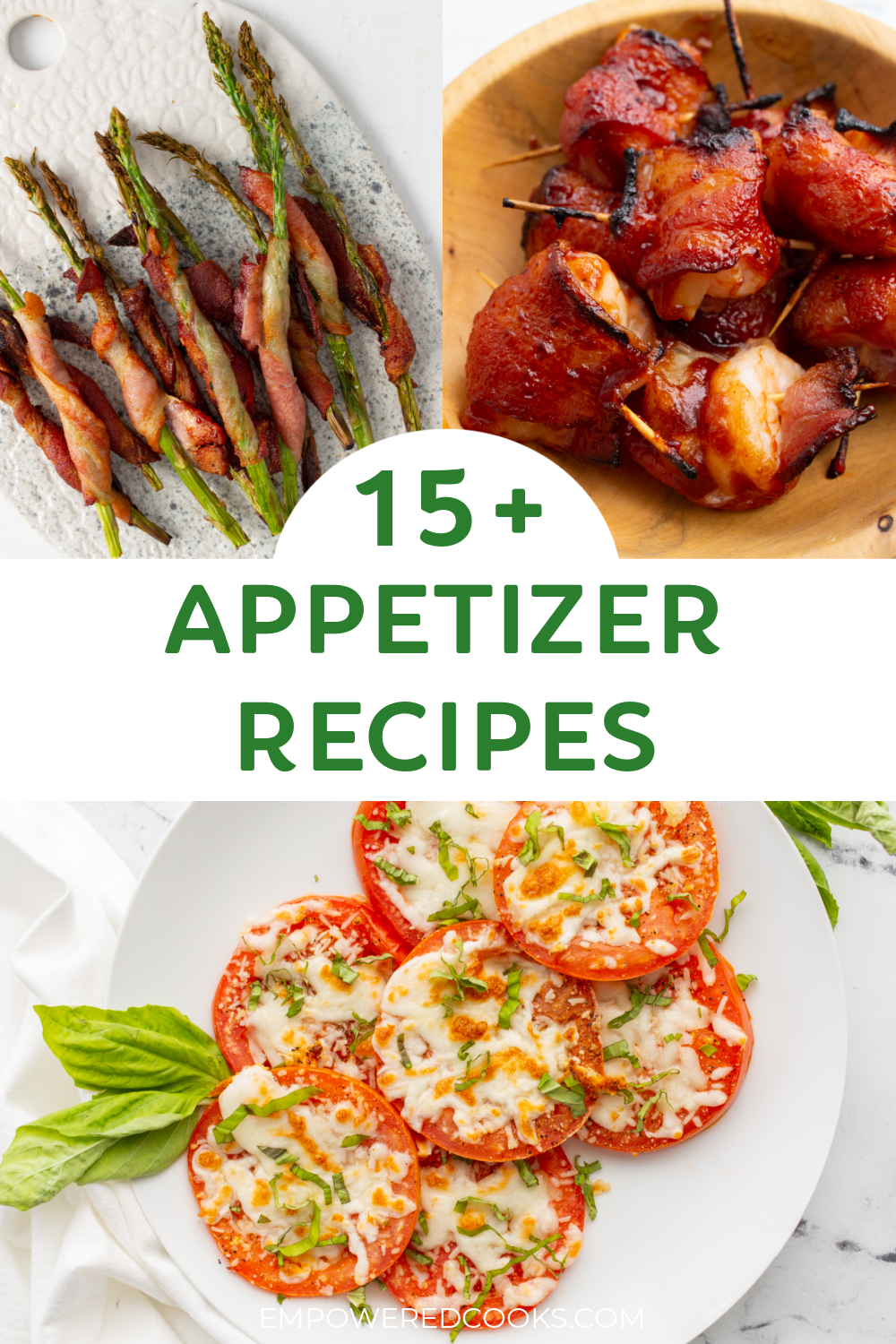 15+ appetizer recipes