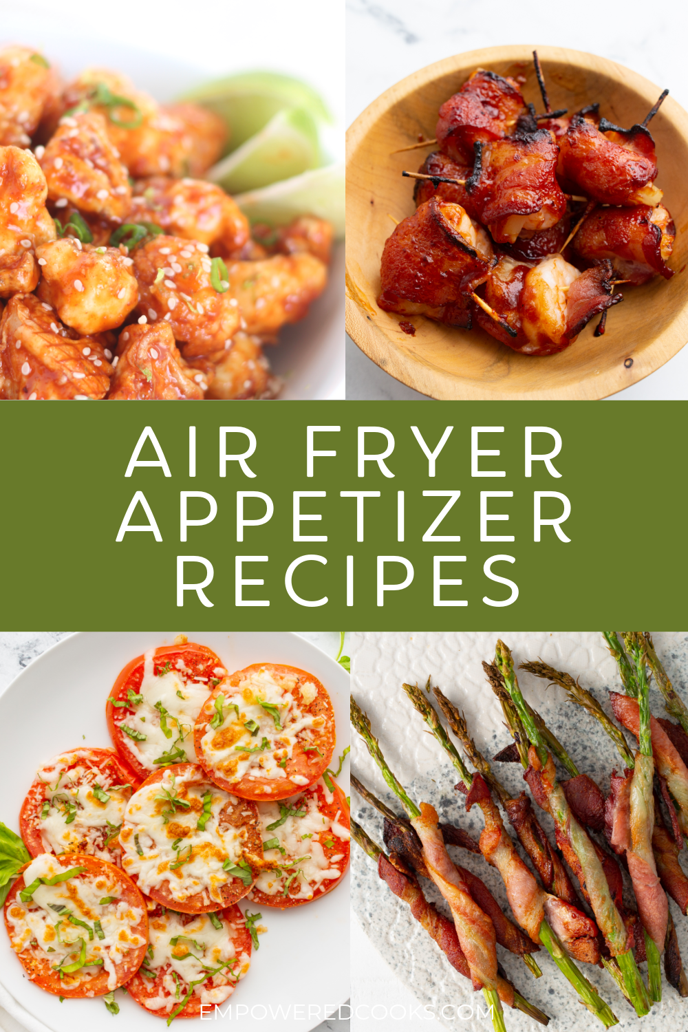 air fryer appetizer recipes