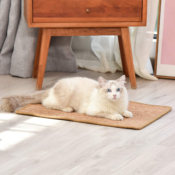 Today Only! Save up to 50% on Cat Scratching Posts and Pads, Cat Trees,...