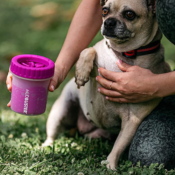 Dexas Portable Paw Washer/Cleaner $8.99 (Reg. $19.99) - Ideal for Active...