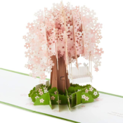 Hallmark Signature Paper Wonder Pop Up Cherry Blossom Tree Card $4.20 (Reg....