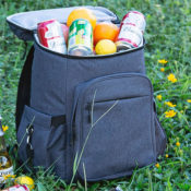 Insulated & Waterproof Cooler Backpack $20 (Reg. $40) - Can Hold Up...