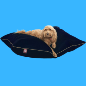 Medium Pillow Pet Bed $15.40 (Reg. $26.65) - LOWEST PRICE! Perfect for...