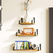 Set of 3 Floating Shelves Wall Mounted $15.19 After Coupon (Reg. $29) -...