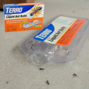 6-Count TERRO Liquid Ant Baits as low as $4.24 After Coupon (Reg. $7) +...